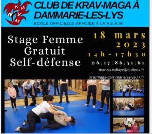 A l’occasion de la journée internationale des droits des femmes du 8 mars, stage femme gratuit de self-défense